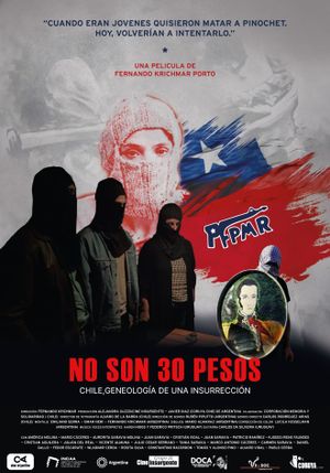 No son 30 pesos's poster image