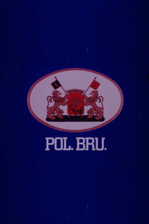 Pol Bru's poster