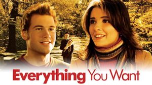 Everything You Want's poster