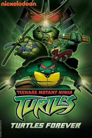 Turtles Forever's poster