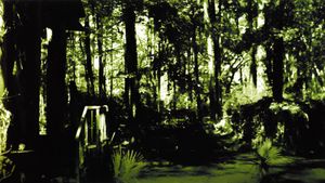 Swamp Thing's poster