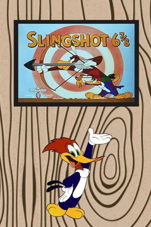 Slingshot 6 7/8's poster