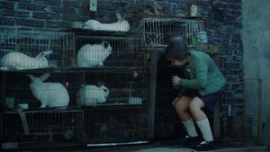 The Rabbits' House's poster