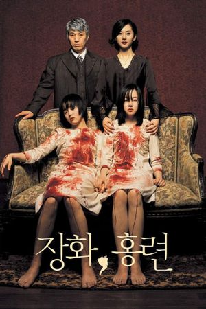 A Tale of Two Sisters's poster