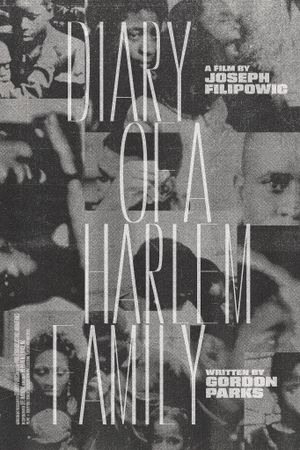 Diary of a Harlem Family's poster