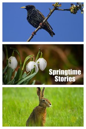 Springtime Stories's poster