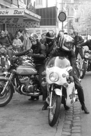 The Bikers's poster