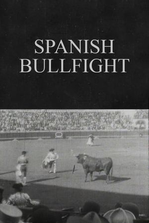 Spanish Bullfight's poster