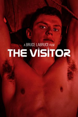 The Visitor's poster