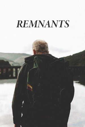 Remnants's poster