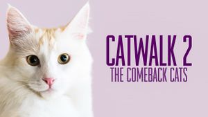 Catwalk 2: The Comeback Cats's poster