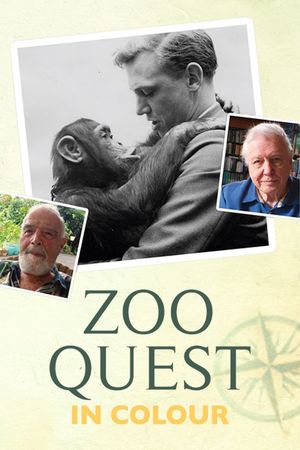 Zoo Quest in Colour's poster