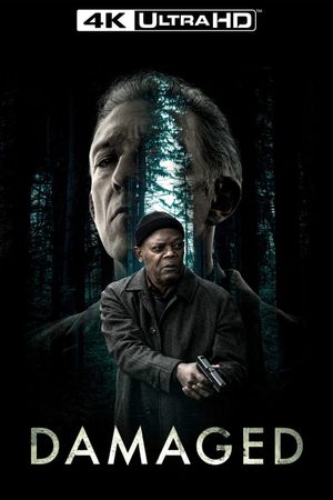 Damaged's poster