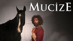 The Miracle's poster
