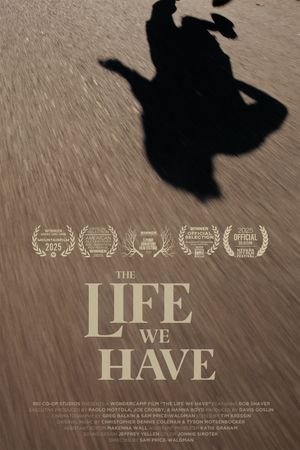 The Life We Have's poster
