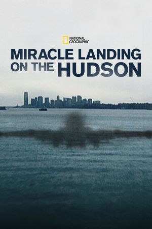 Miracle Landing on the Hudson's poster
