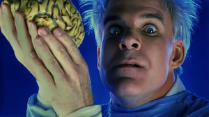 The Man with Two Brains's poster
