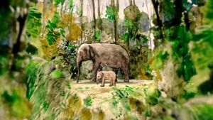 The Tragic Story of Fritz the Elephant's poster