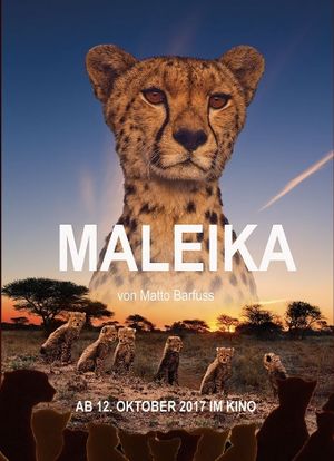 Maleika's poster