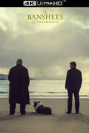 The Banshees of Inisherin's poster