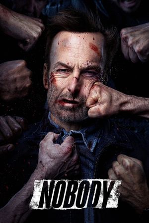 Nobody's poster