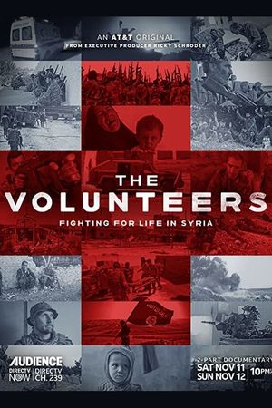 The Volunteers's poster