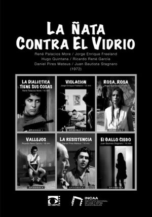La ñata contra el vidrio's poster