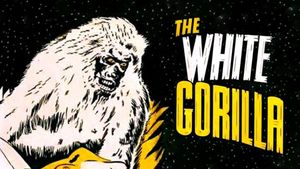 The White Gorilla's poster