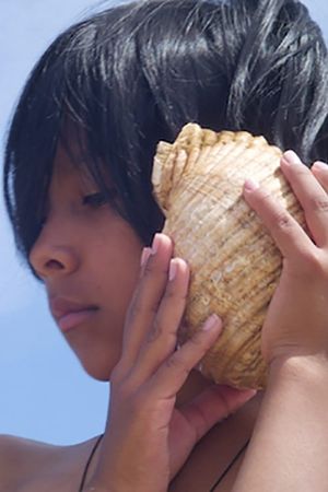 Time and the Seashell's poster