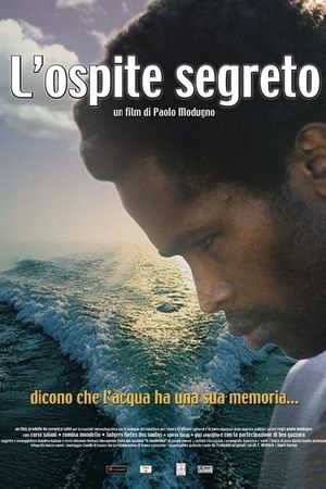 L'ospite segreto's poster image