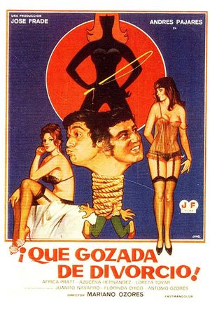 ¡Qué gozada de divorcio!'s poster