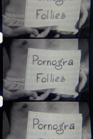 Pornogra Follies's poster