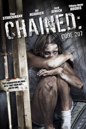 Code 207's poster