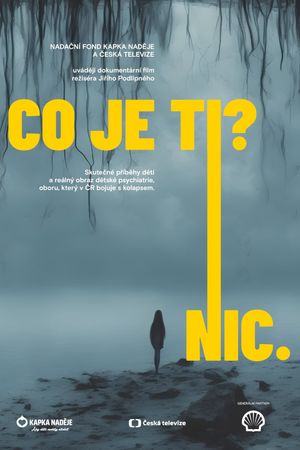 What's wrong with you? Nothing.'s poster