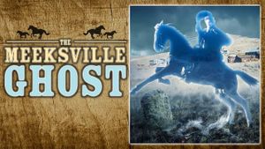 The Meeksville Ghost's poster
