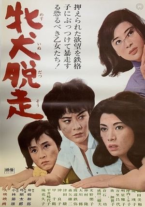 Mesuinu dassô's poster