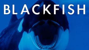 Blackfish's poster