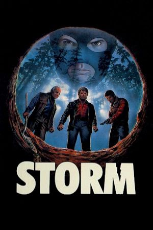 Storm's poster
