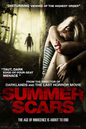 Summer Scars's poster