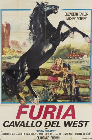 National Velvet's poster