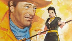 The Searchers's poster