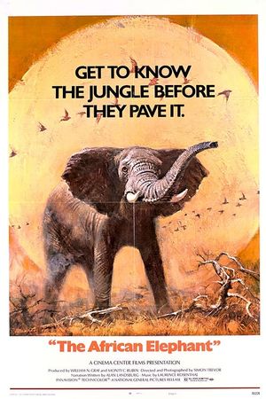 The African Elephant's poster