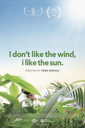 I Don't Like the Wind, I Like the Sun's poster image