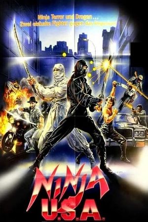 USA Ninja's poster