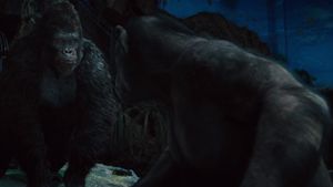 Rise of the Planet of the Apes's poster