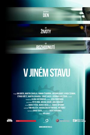 V jiném stavu's poster