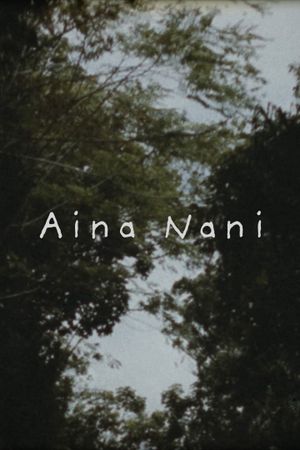 Aina Nani's poster