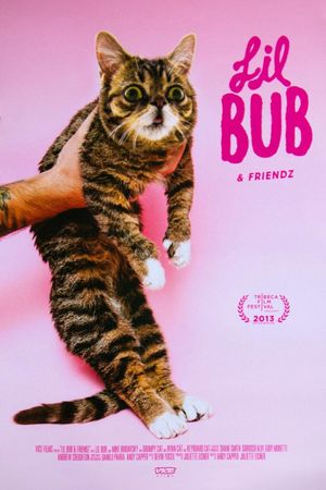 Lil Bub & Friendz's poster