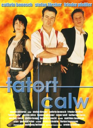 Tatort Calw - Tödliche Rache's poster