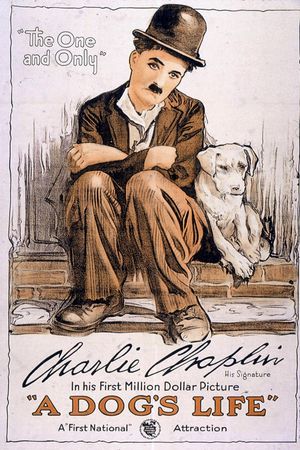 A Dog's Life's poster